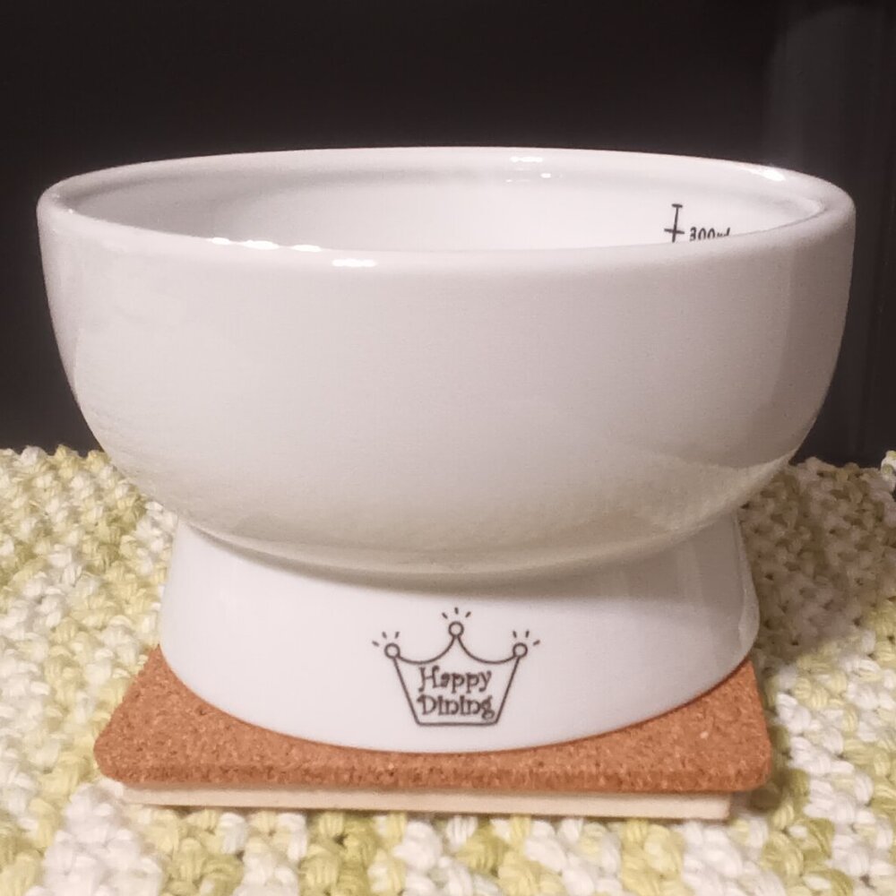 Cat Bowl PRICE DROP